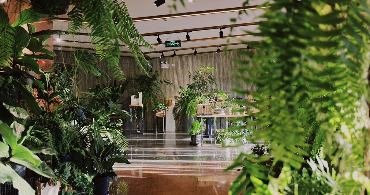 利来国国际最给力的老牌奥莱·滇池小镇