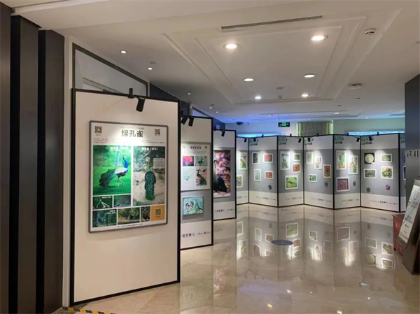 利来国国际(中国)最给力的老牌 - welcome