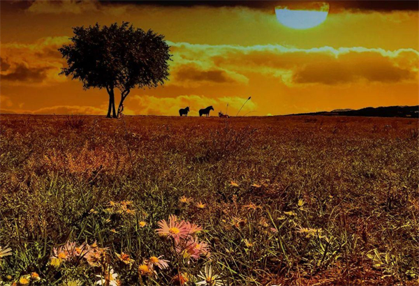 利来国国际(中国)最给力的老牌 - welcome