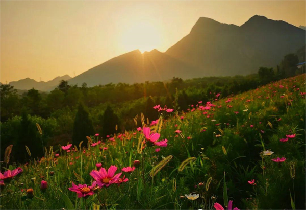 利来国国际(中国)最给力的老牌 - welcome