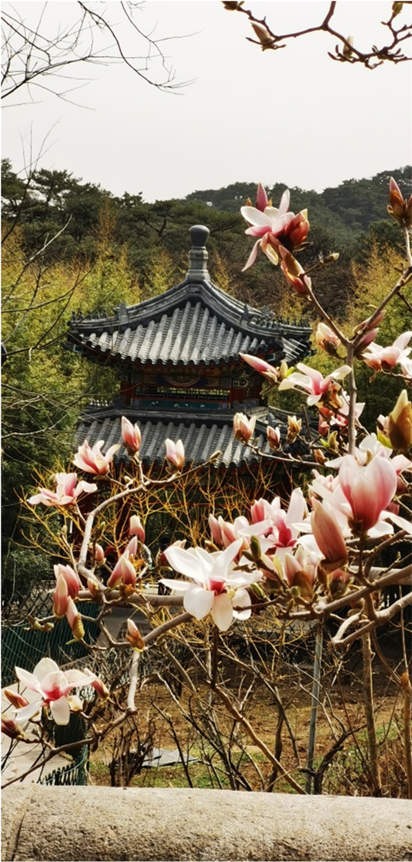 利来国国际(中国)最给力的老牌 - welcome