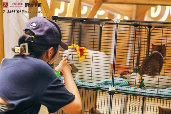 利来国国际(中国)最给力的老牌 - welcome