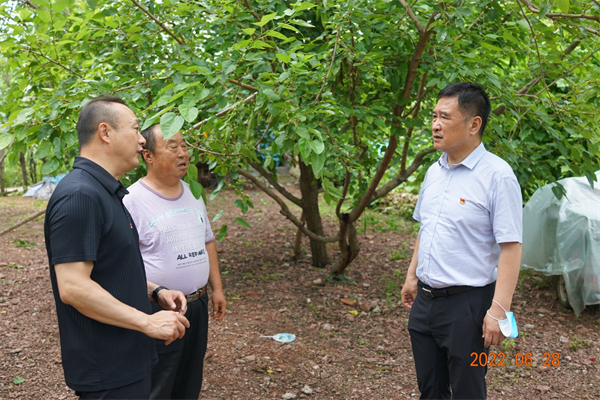 利来国国际(中国)最给力的老牌 - welcome